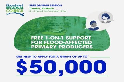 free support day poster flood grant toobeah 2022